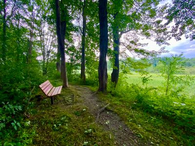 Bench on the Casavant Nature Trail