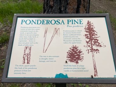 One of the many interpretive signs along the trail