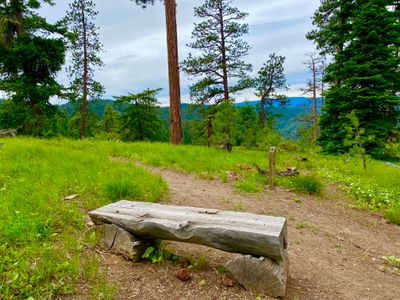 First of five benches on the trail
